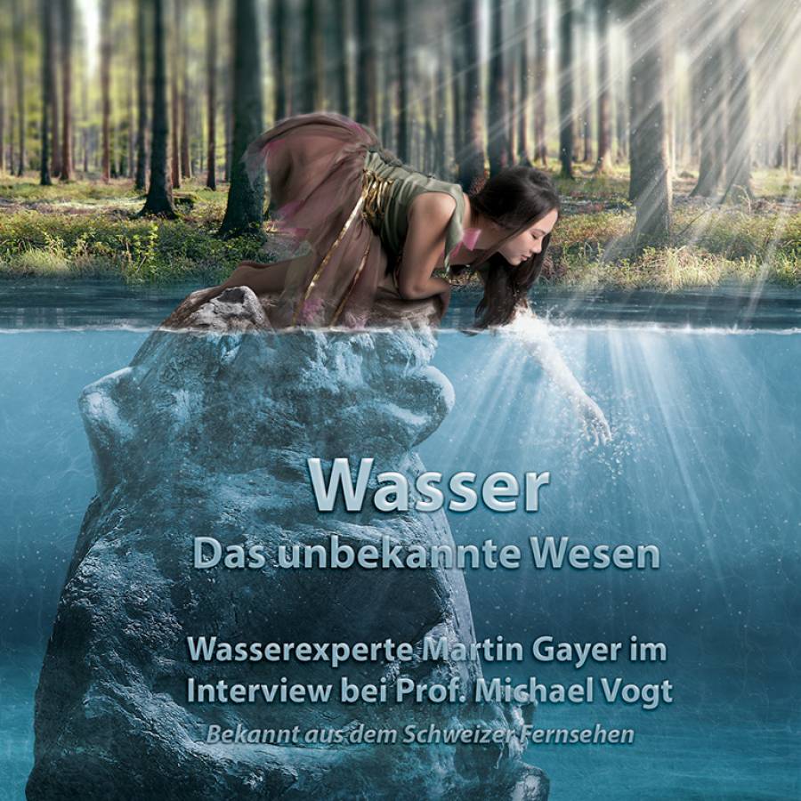 DVD Interview von Prof. Michael Vogt mit Martin Gayer